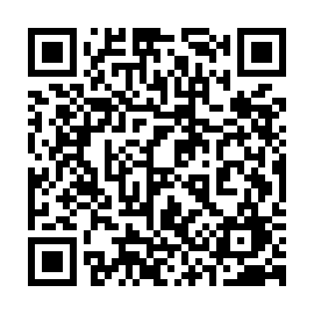 QR code for 335MCG