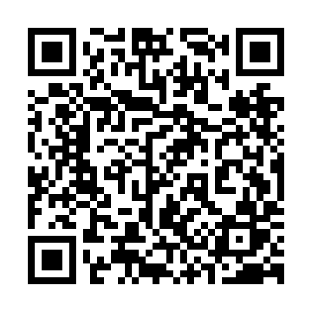 QR code for 335NIR