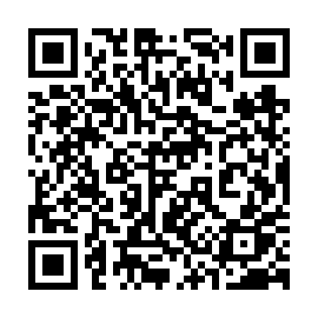 QR code for 335VPP