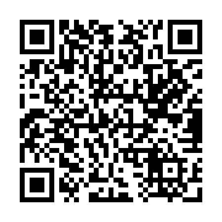 QR code for 335YFD