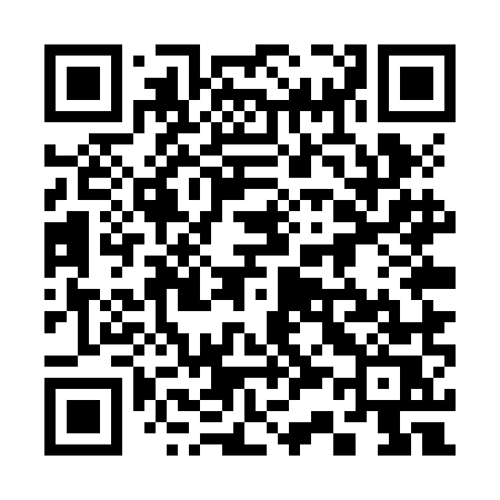 QR code for 335ZMS