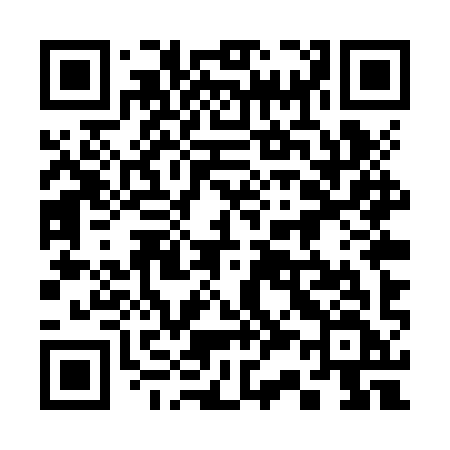QR code for 335ZYF