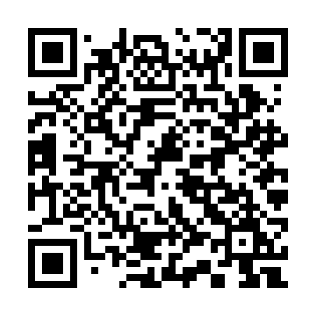 QR code for 336BBM