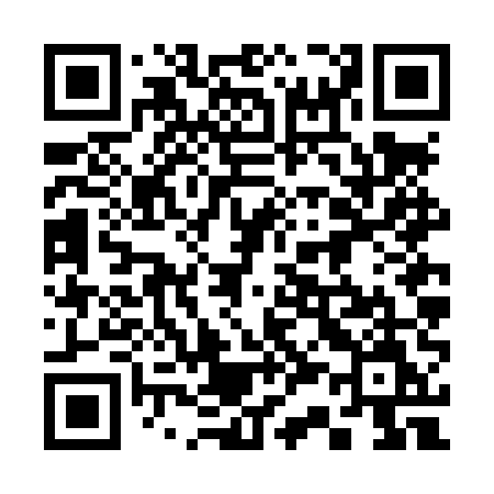 QR code for 336LUM
