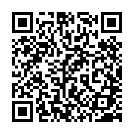 QR code for 336PLI