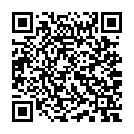 QR code for 336PMS