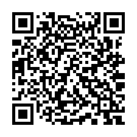 QR code for 336YJJ
