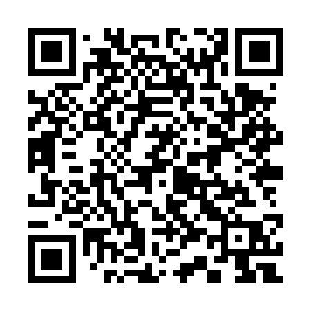QR code for 338TSP