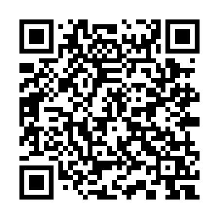 QR code for 339PMS