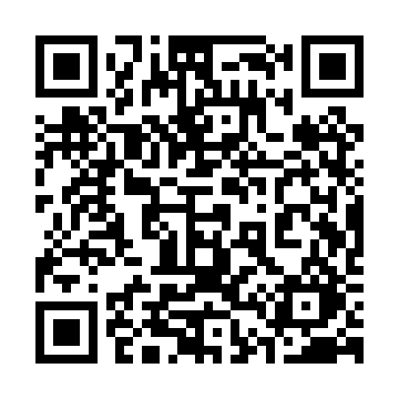 QR code for 341PRO