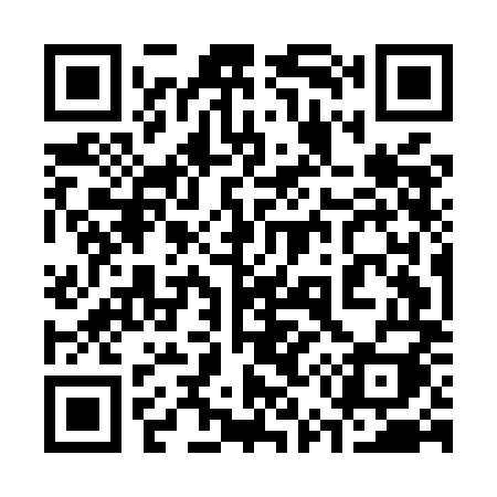 QR code for 355MMI