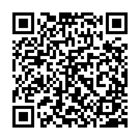 QR code for 368INP