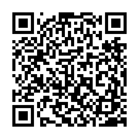 QR code for 369NFS