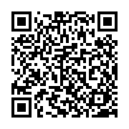 QR code for 369PZM