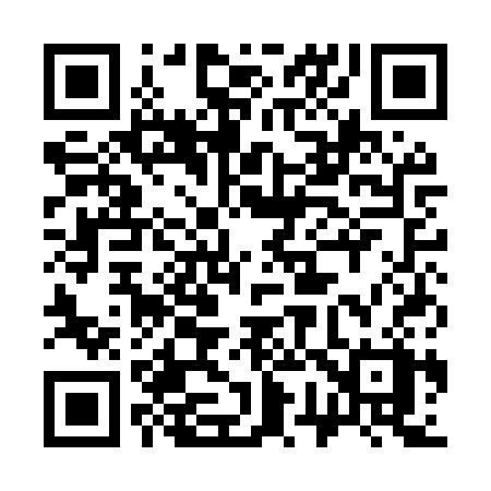 QR code for 371MSX