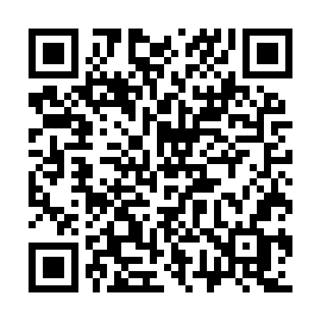 QR code for 375IWF