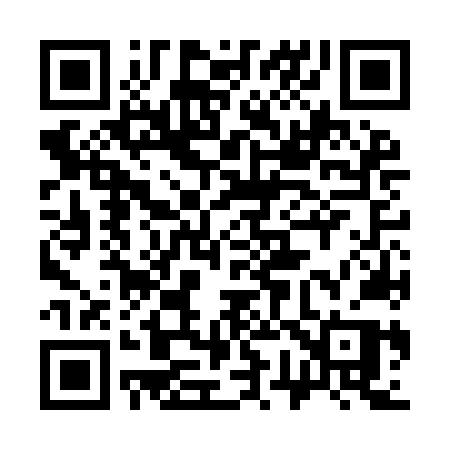 QR code for 376INP