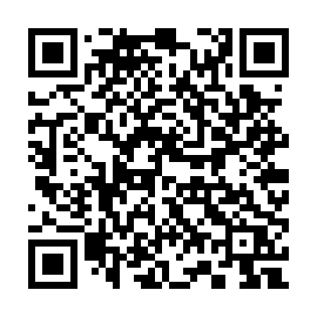 QR code for 377PPR