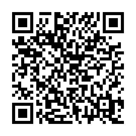QR code for 379DBL