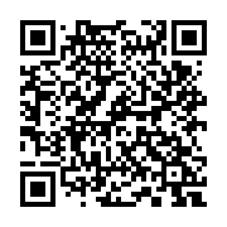 QR code for 379FVG