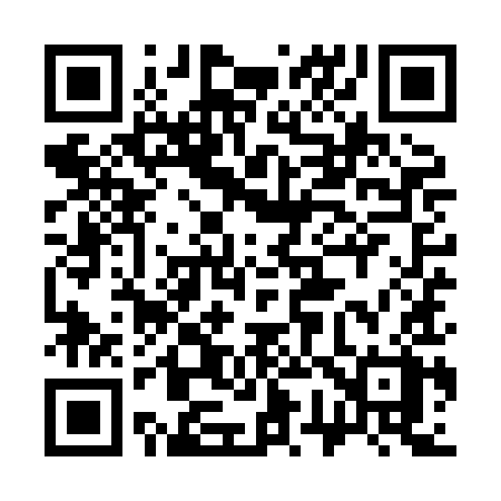 QR code for 379XIX