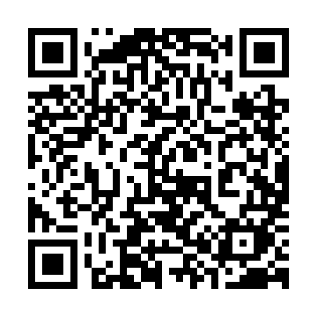 QR code for 380SMM