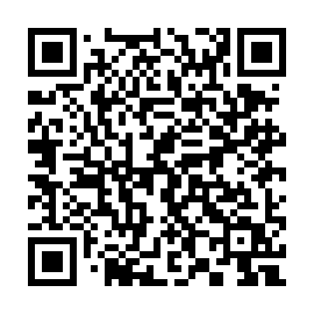 QR code for 381DIT
