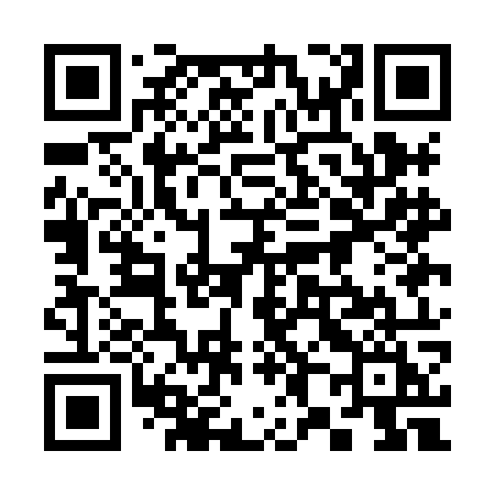 QR code for 381HOI