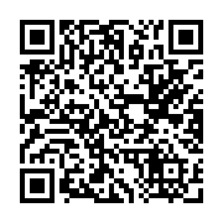 QR code for 381LSD