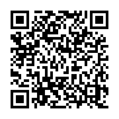 QR code for 381MHZ