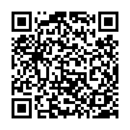QR code for 381TZQ