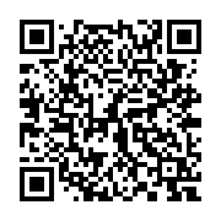 QR code for 381WIR