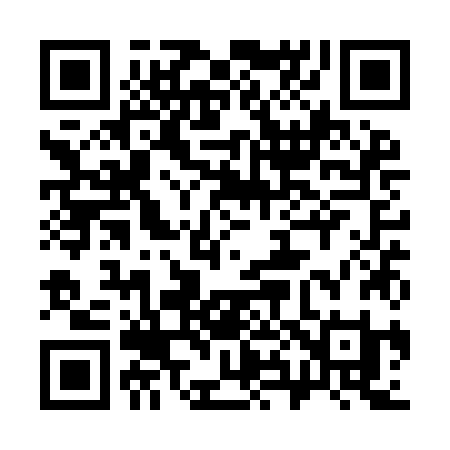 QR code for 381YJI