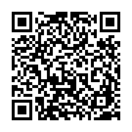 QR code for 382LFG