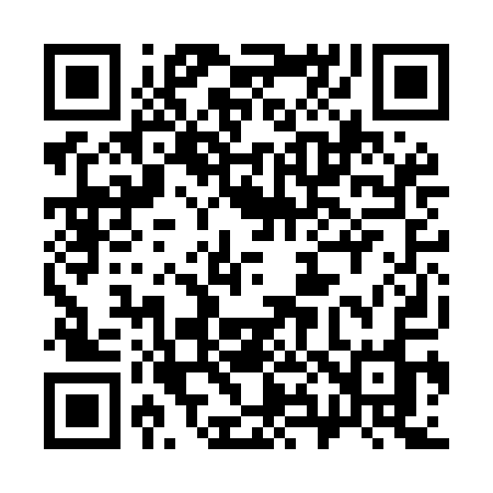 QR code for 382MAO