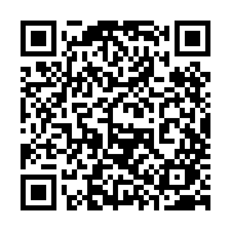 QR code for 382PMO
