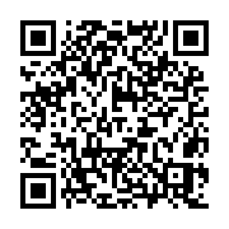 QR code for 383IOS
