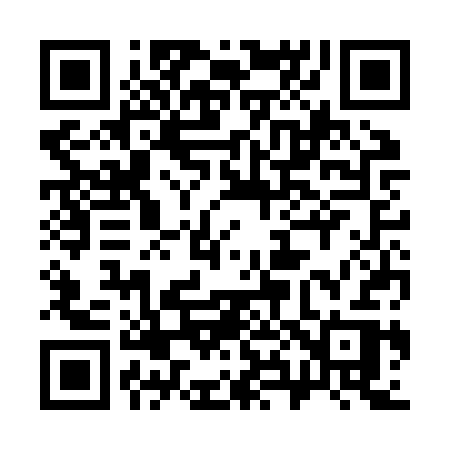 QR code for 383JSR