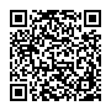 QR code for 383OVG