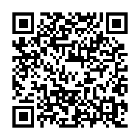 QR code for 383RLM