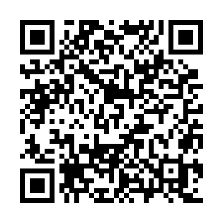 QR code for 383ROI