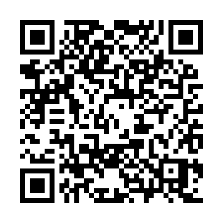 QR code for 383YXP