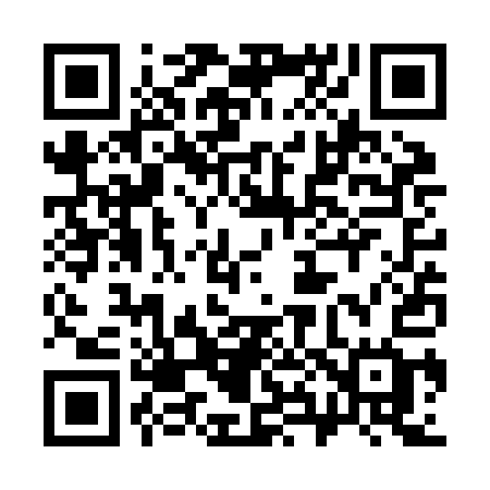 QR code for 383ZAG