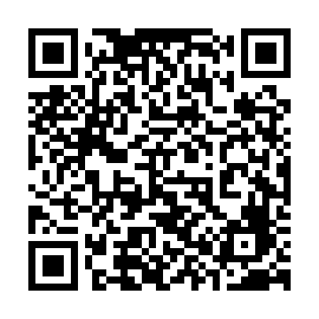 QR code for 384AVF
