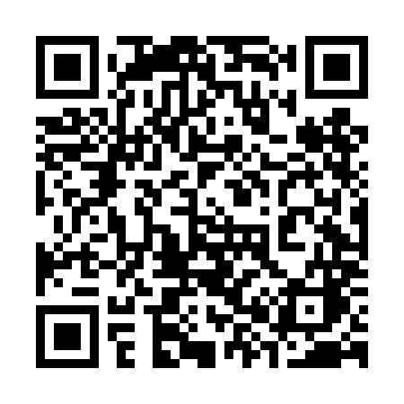 QR code for 384DMC