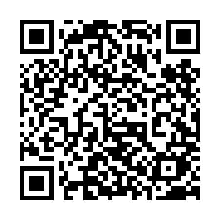 QR code for 384DMM