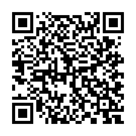 QR code for 384FLE