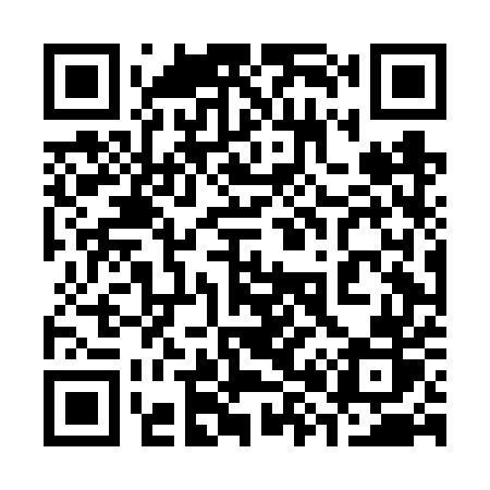 QR code for 384FUR