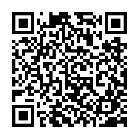 QR code for 384GIN