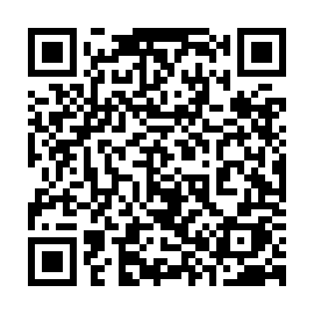 QR code for 384KOH